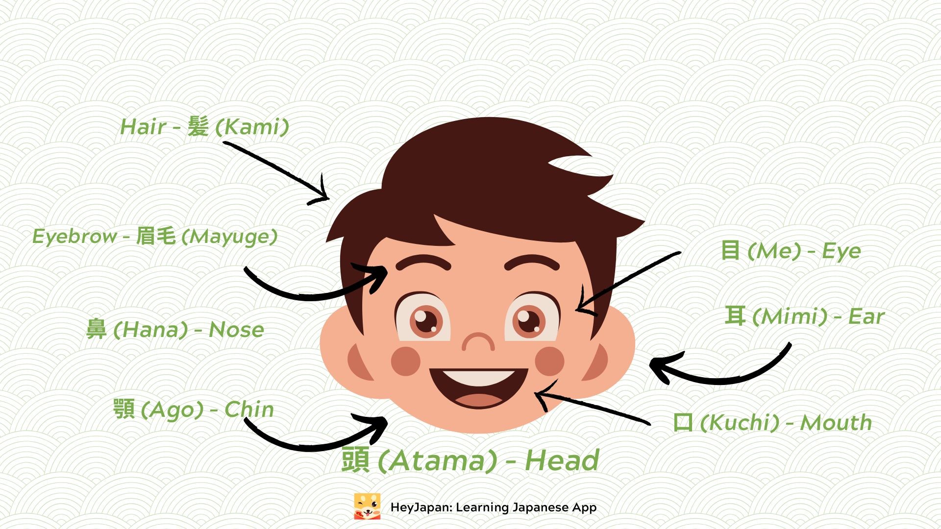Head - Body parts in Japanese 